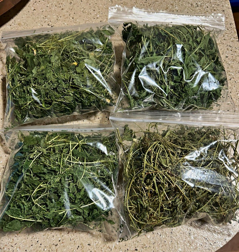 Jamaican cerasee bush tea - jamaican,